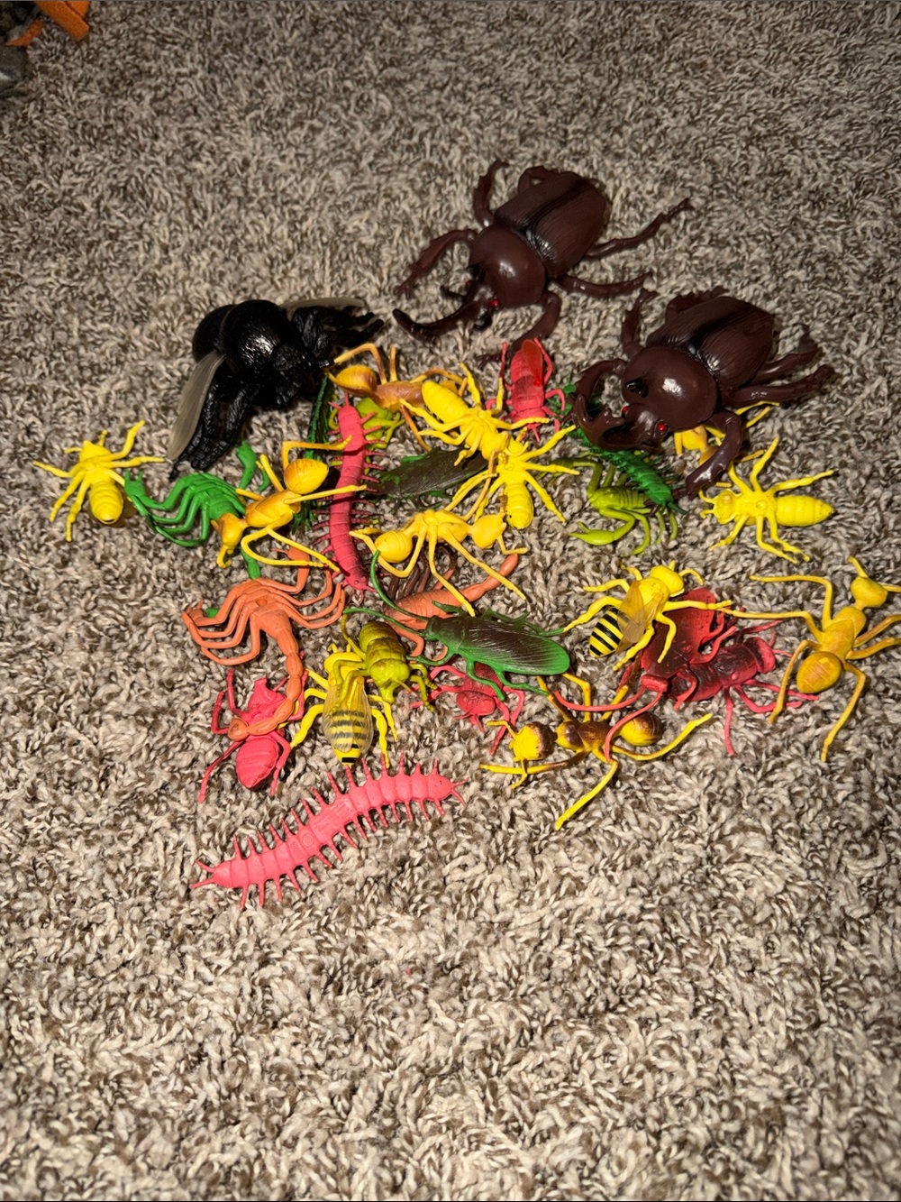 Assorted Plastic Toy Bugs Pack - Yellow, Red, Green, Brown, Black